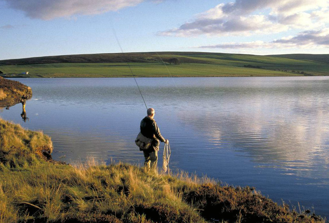 台钓鲫鱼竿钓大物什么台钓竿好,台钓怎么选竿子好用