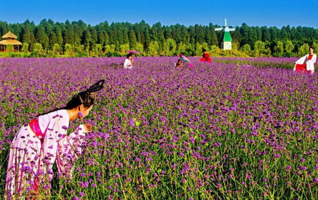 魅力家乡秀,湖北乡愁仙桃