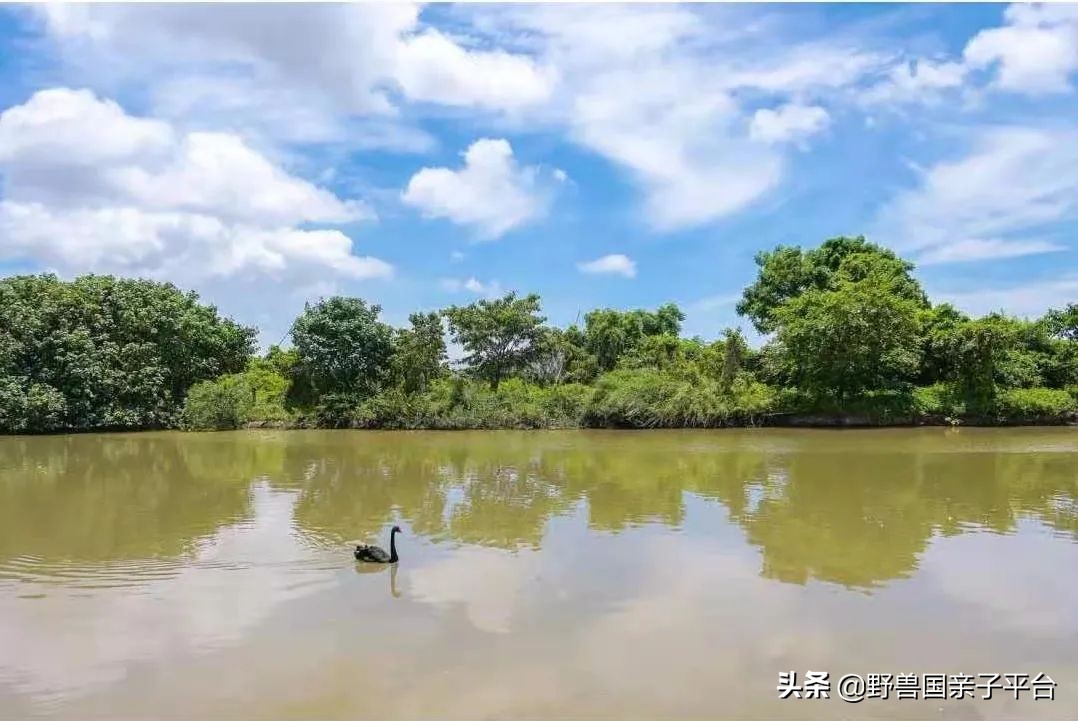 广州遛娃出游,广州遛娃3-4天攻略