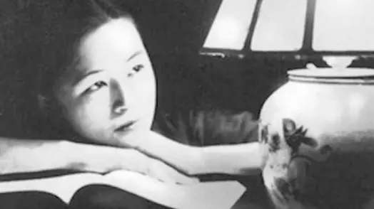 费慰梅讲林徽因,高晓松谈林徽因的爱情