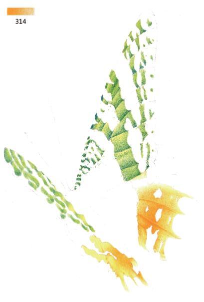 3d错觉画教程,3d错觉画作品