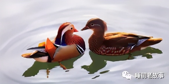 志怪图鉴,志怪介绍