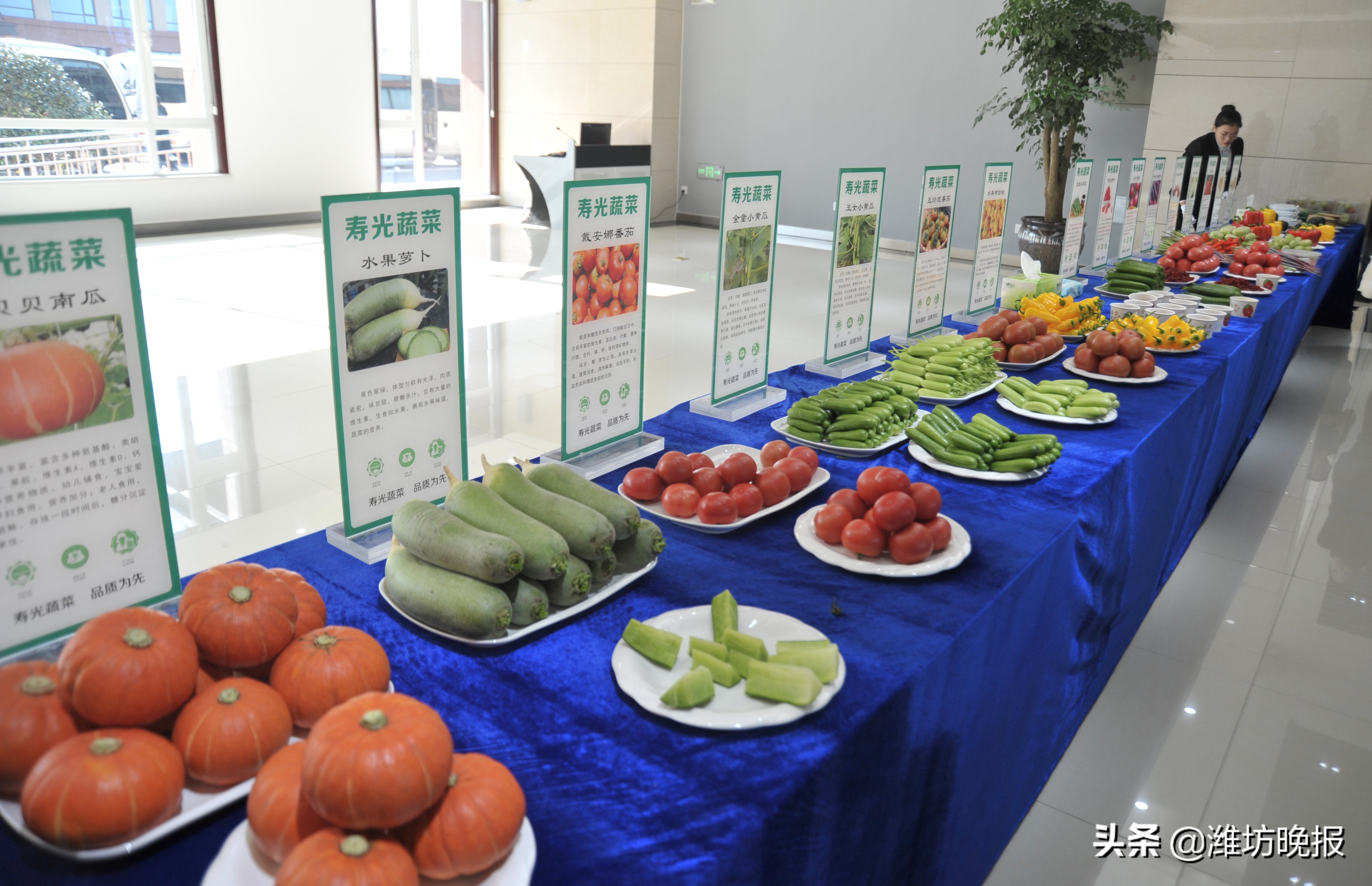 寿光新旧动能转换,潍坊新旧动能转换区