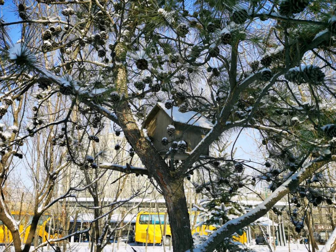 辽宁省本溪市高级中学,本溪市高级中学2021高考成绩