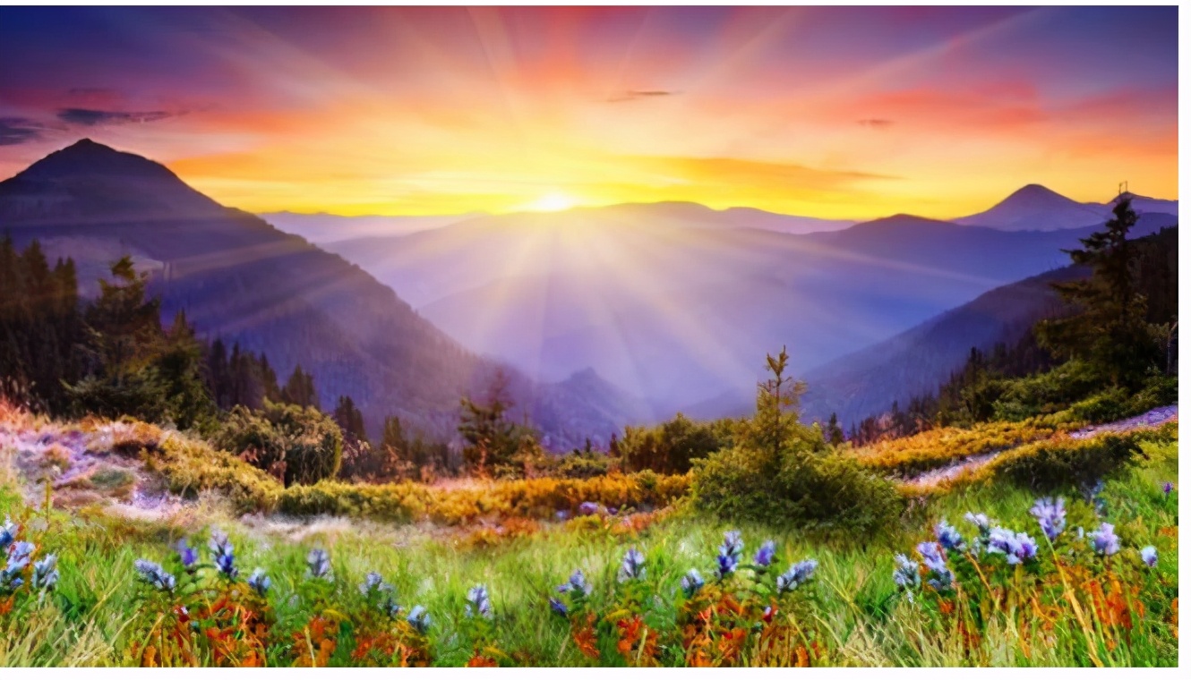 中国国宝日本人的摇钱树,世界上到底有没有摇钱树