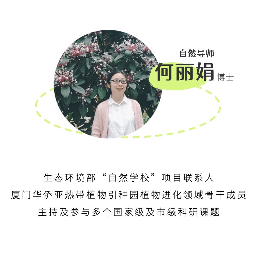 奇妙夏日，跟着*物文**去旅行~