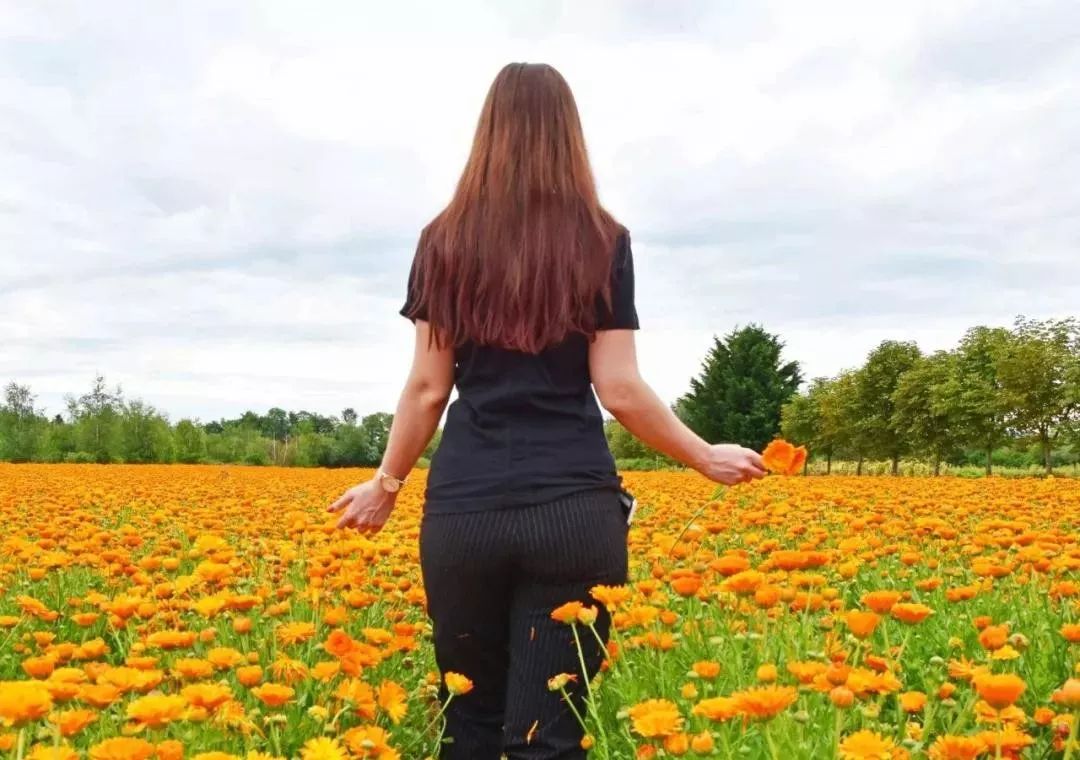 泰国万人灯火节,泰国万人天灯节