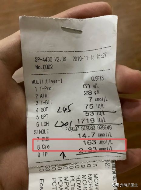 go猫粮吃了会黑下巴吗,go猫粮吃了拉黄水