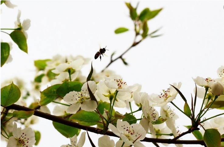 从污水遍地到“黄金满地”，郴州这个地方经历了什么？