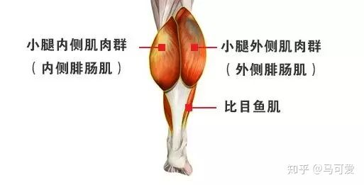 萝卜腿瘦小腿最快方法,一招告别小粗腿