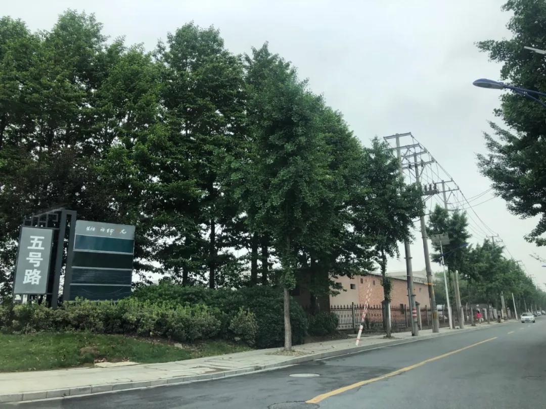 如果你错过单价一万多的桥西、奥体、未来科技城，千万别再错过这