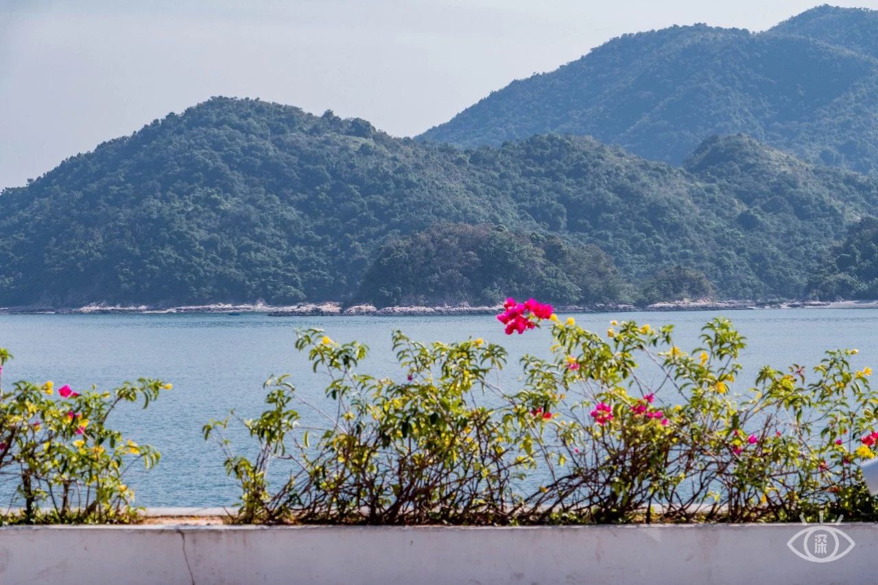 深圳绝美小岛景点介绍,深圳有哪些绝美的海景