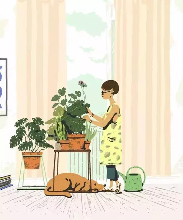 社交礼仪之分寸感是什么,使你在社交中走向成功的礼仪常识