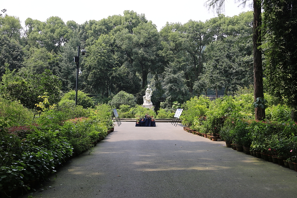 红河谷半音阶口琴独奏,12孔半音阶口琴演奏北国风光