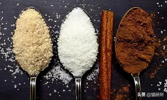 猫为啥爱吃植物,猫爱吃鸡肉还是虾肉