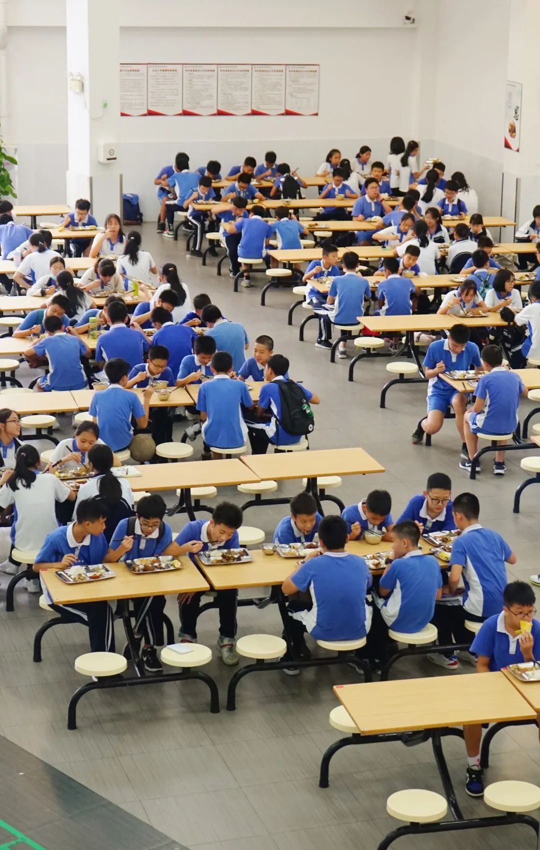 投资10亿，坐标布吉，这是一所被低估的宝藏学校