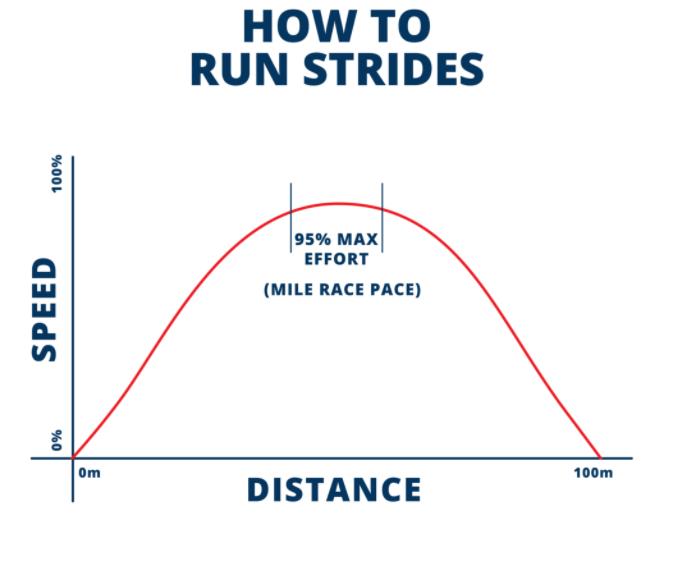 树木上色图片,素描手势图片