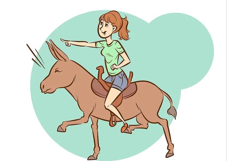 怎么让一头犟驴听话,怎么驯服一头犟驴