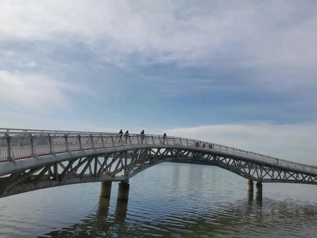 深秋的公园是什么样子的,南阳梅城公园梅花