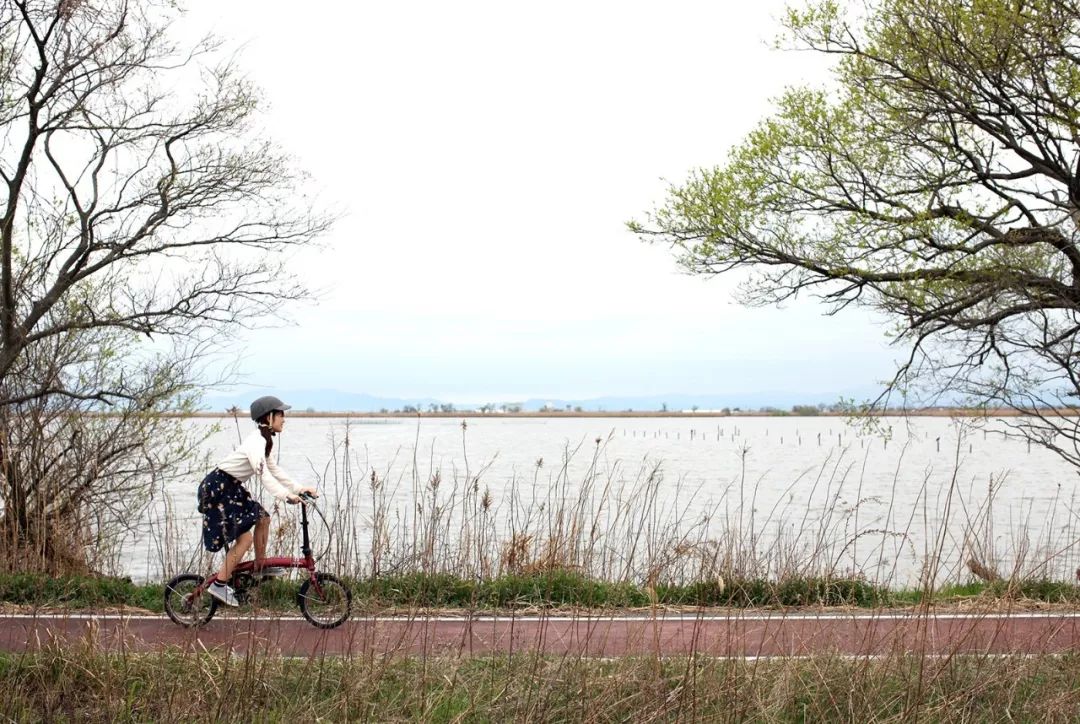 女神节好车排行榜,女神节买什么车好