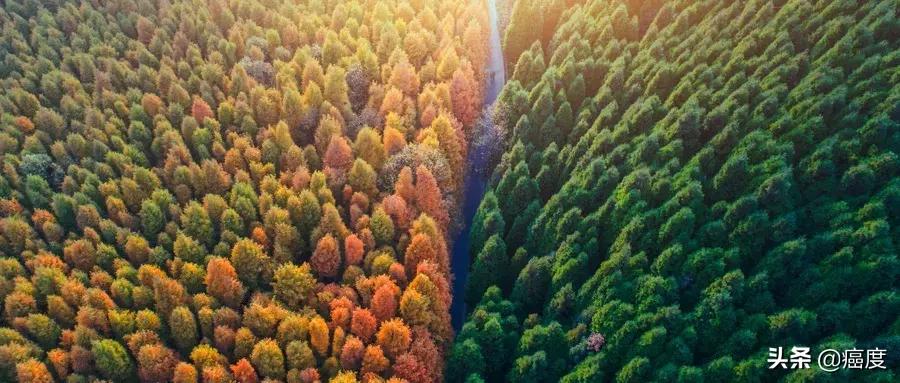 劳拉替尼耐药吃回克唑替尼,劳拉替尼耐药后改服阿来替尼