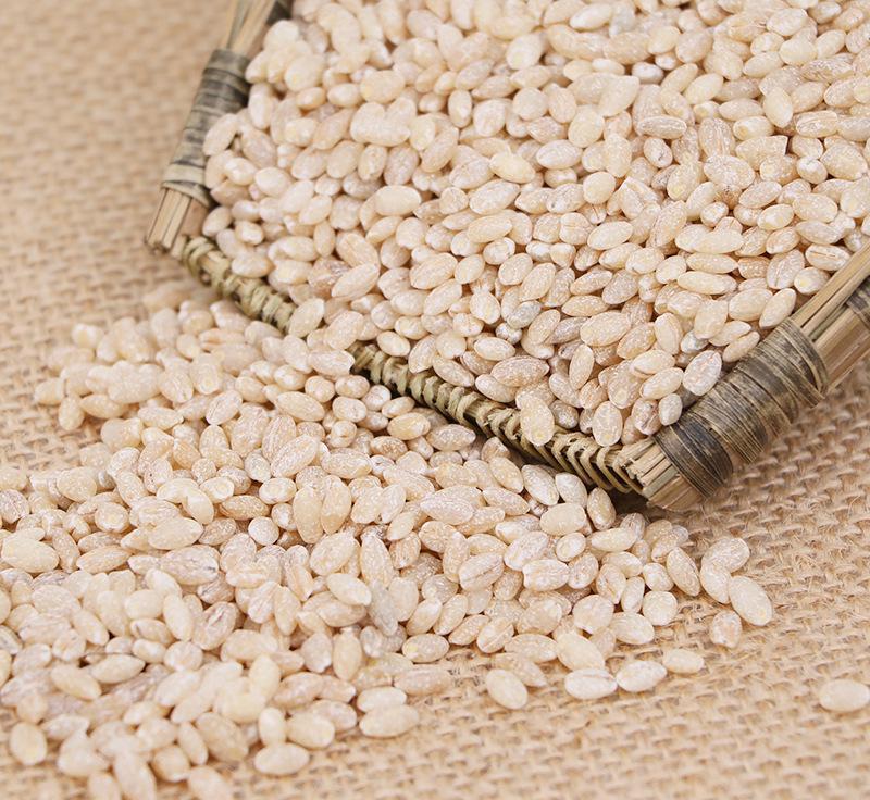 青海青稞丰收,青海沙棘丰收