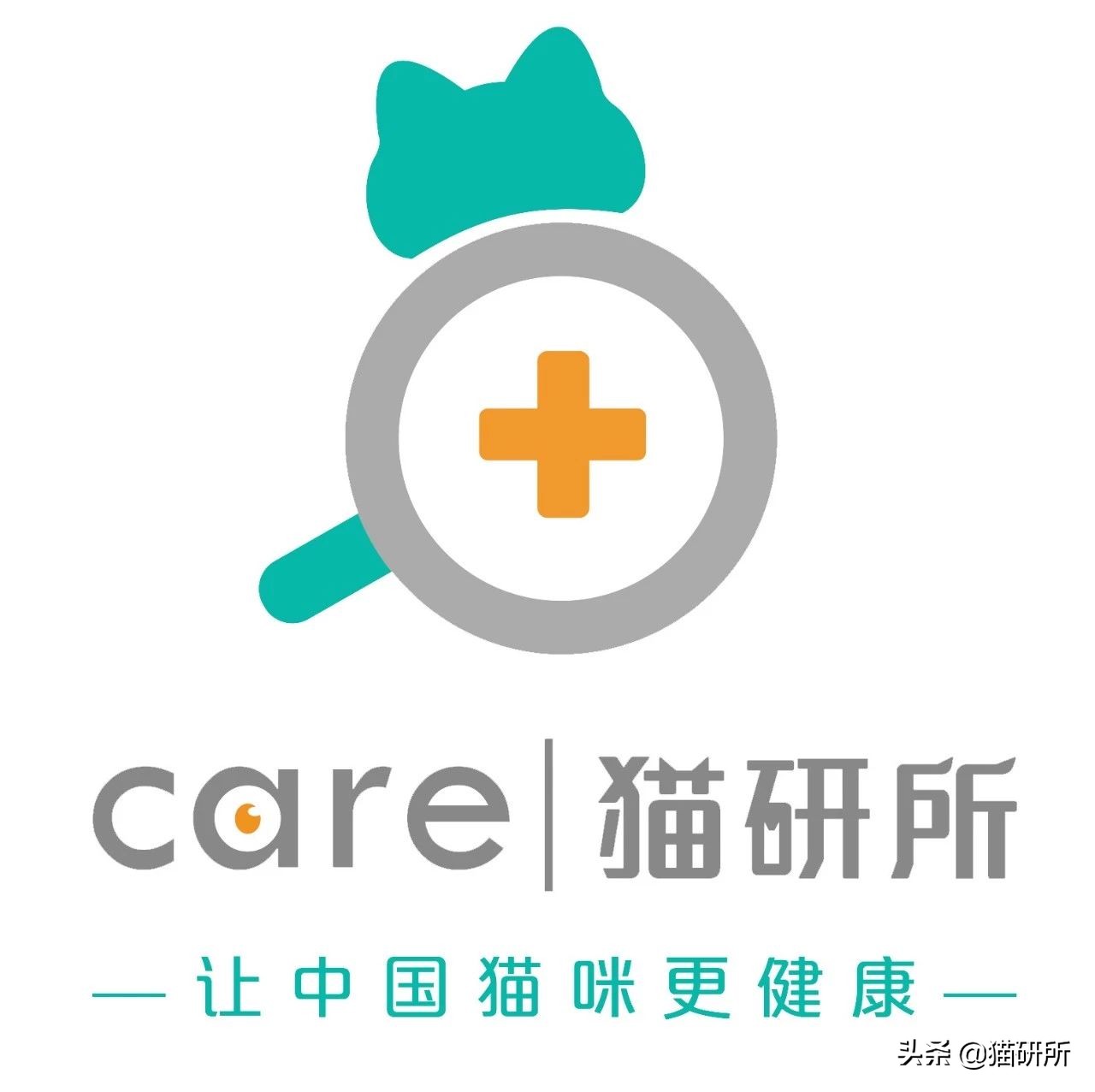 猫咪总挠痒痒就是有跳蚤？4招搞定猫咪瘙痒问题