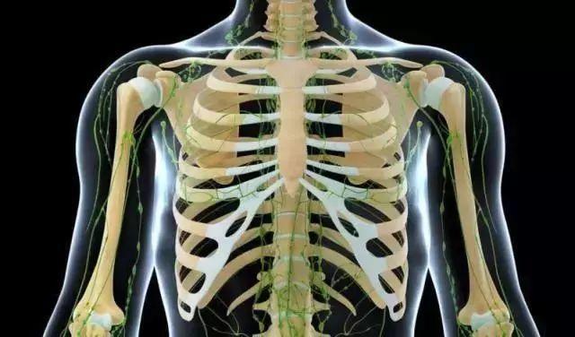 求实瑜伽丨肋骨外翻的评估和理疗方案，建议收藏