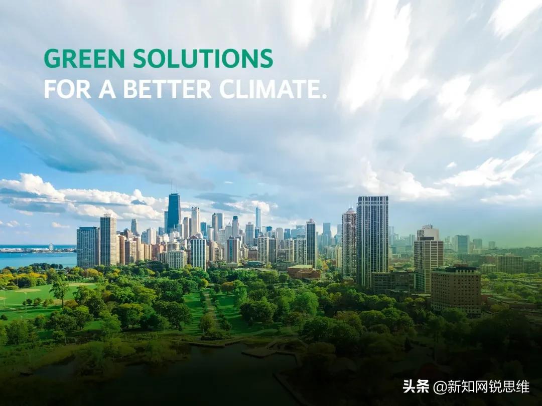 威乐杯第五届,武汉威乐杯足球