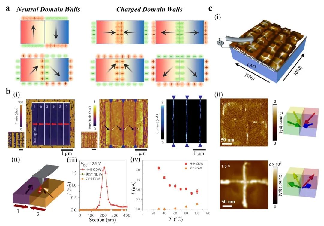 Adv.Mater:铁性薄膜和异质结拓扑结构的研究进展