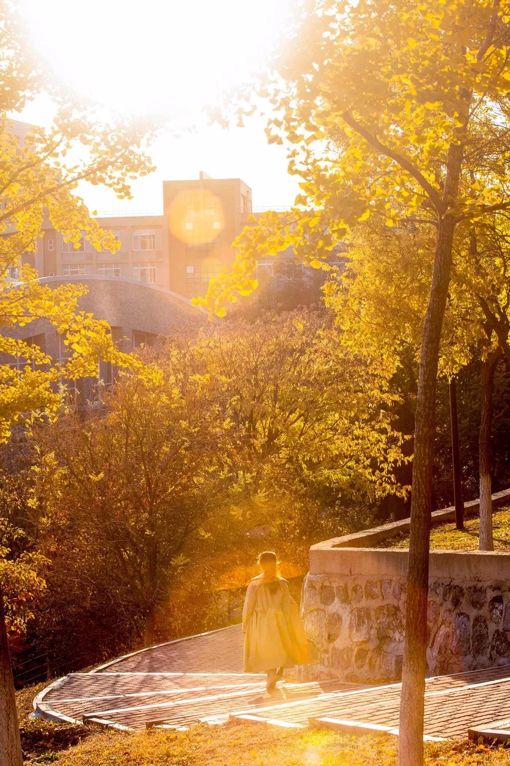 辽宁省民办大学（二）大连东软信息学院