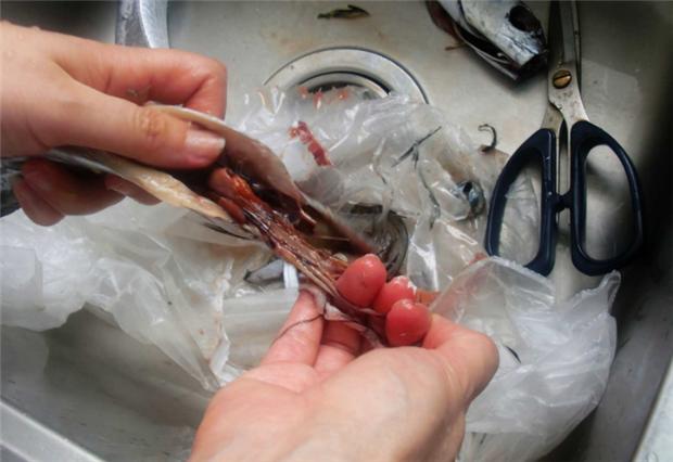 上海带鱼怎么煎不粘锅不破,干煎带鱼不粘锅的做法