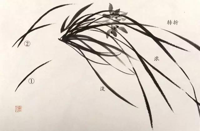 国画兰花绘画图,简单国画兰花画法教程