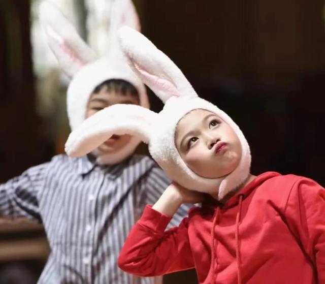 上海各区比较好的小学排名,上海16区小学梯队排名