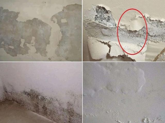墙壁发霉用什么除霉,家里墙发霉掉皮怎么办