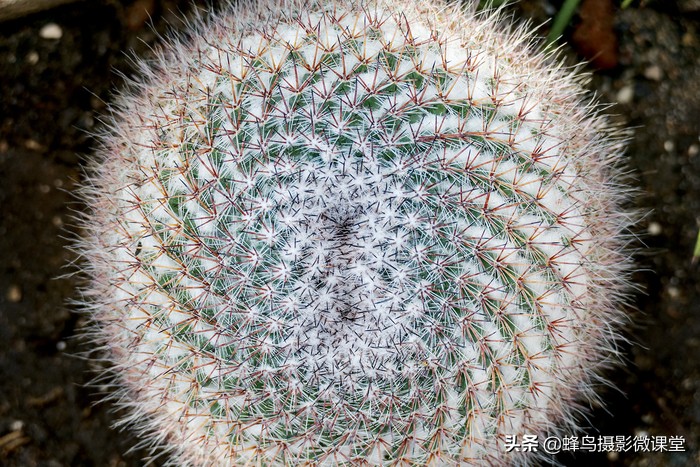 徕卡v-lux5,徕卡v-lux5相机怎么样