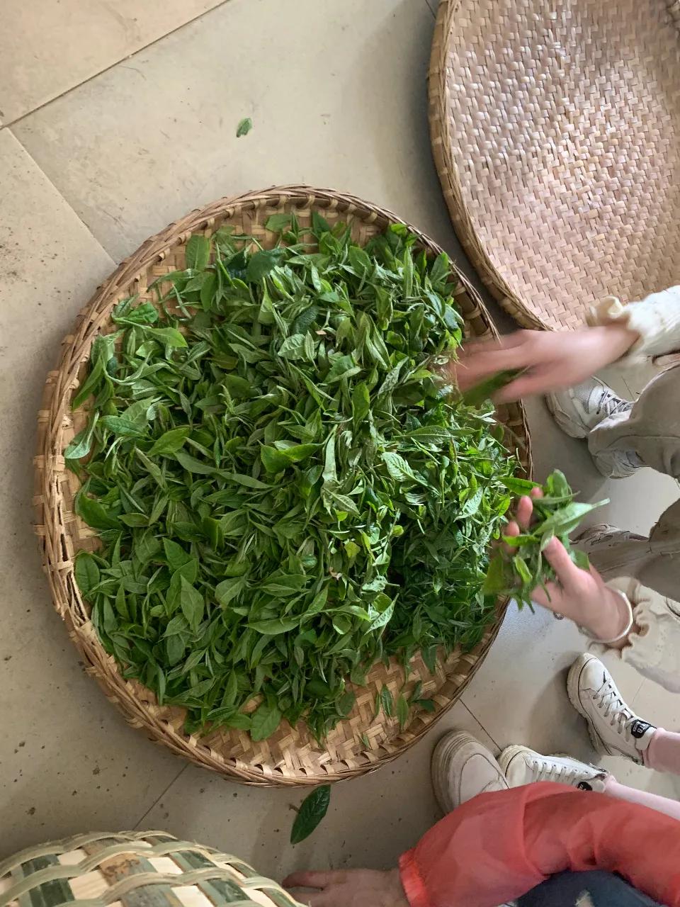 这帮人五一用爱心启航，一起为广西凌云大山的孩子点燃艺术之梦！