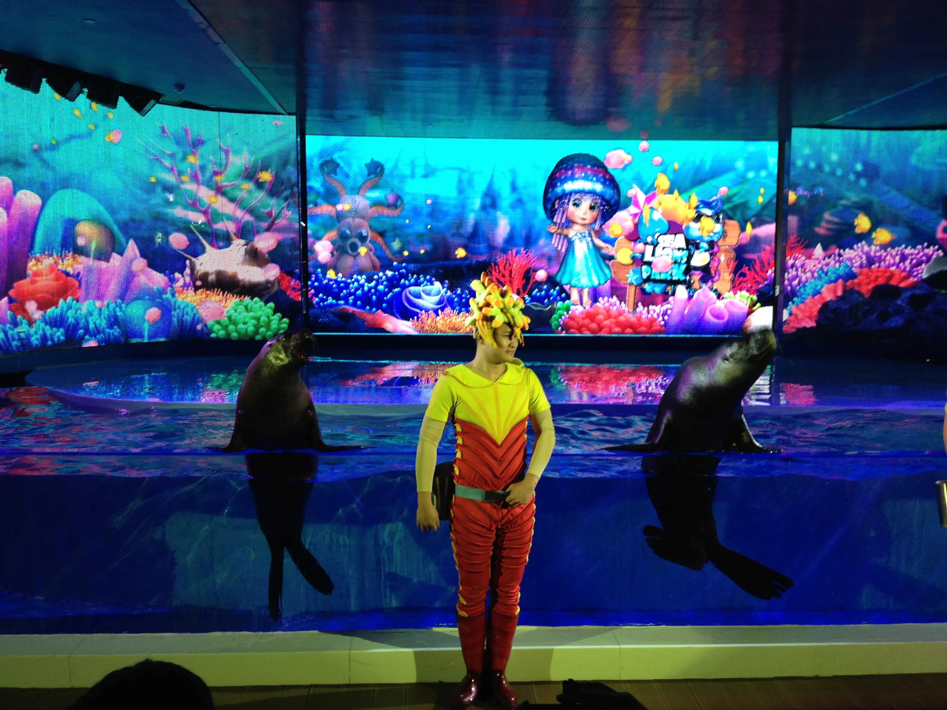 深圳暑假值得带孩子旅游的地方,深圳十大暑假室内必去景点