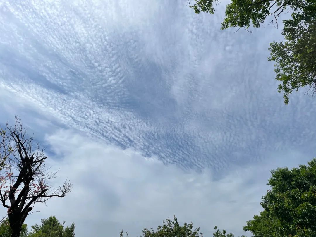 “神兽”归笼，九月临沂天上王城许你一个醉美秋天！