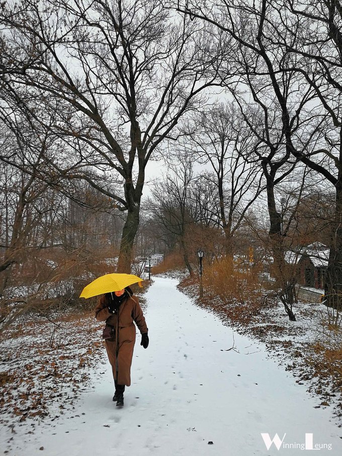 现实版未来之城纽约中央公园,纽约中央公园和北京奥体森林公园
