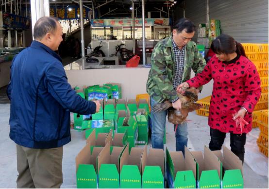 龙胜凤鸡竟“飞”入海鲜市场,“高规格”背后大有文章