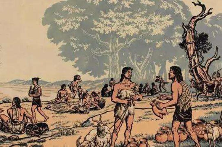 7300年前谜案：姑娘身上18把骨器，会阴处1支骨钉，全身35处伤