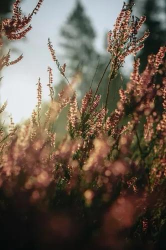 什么是人生的最顶级享受,人生的最佳境界是享受