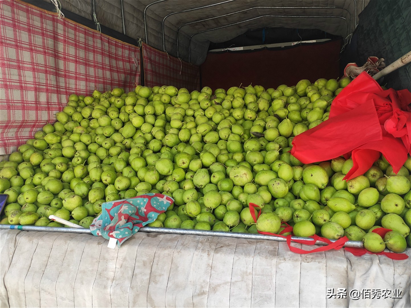 做卖水果的生意好吗,做水果生意都要自己去拉货吗