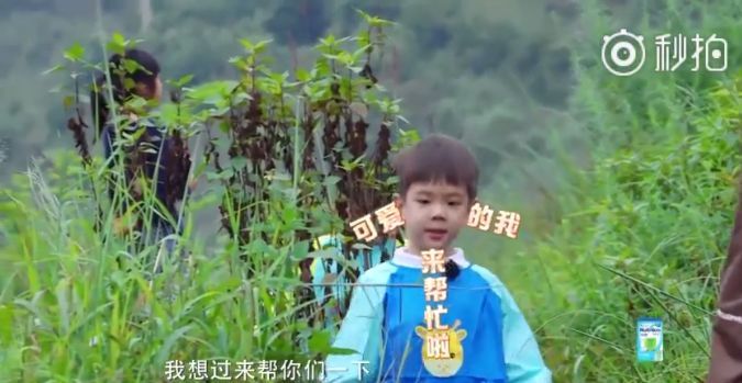 嗯哼霍思燕的教育方法特别好,霍思燕是如何培养嗯哼的高情商的