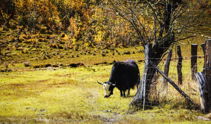 秋天最美地方,秋天全部的风景