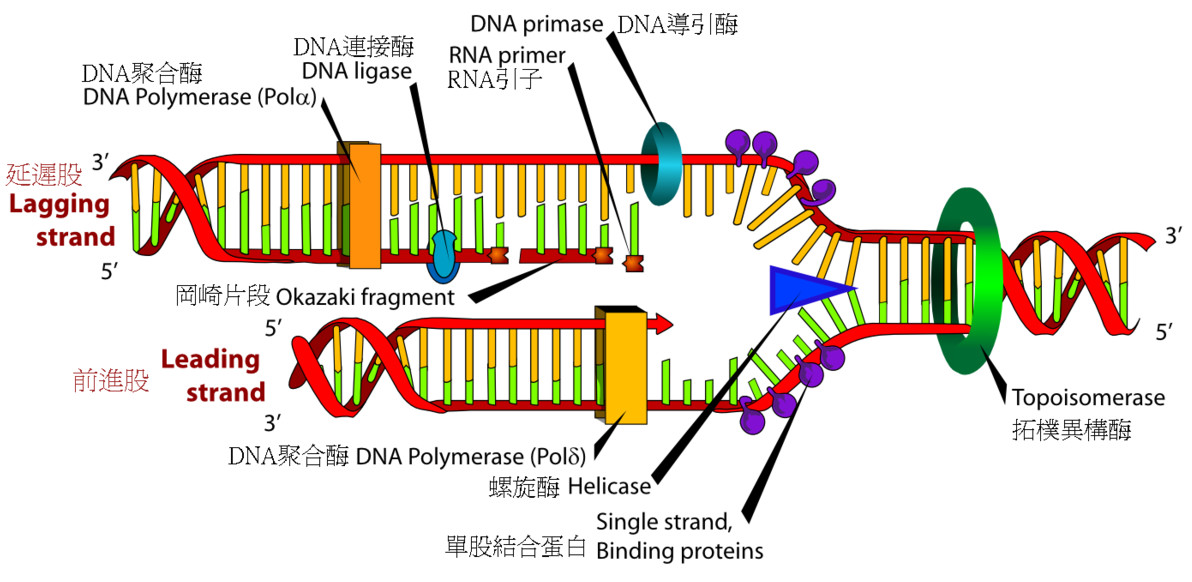 拨动天空琴弦的三角学