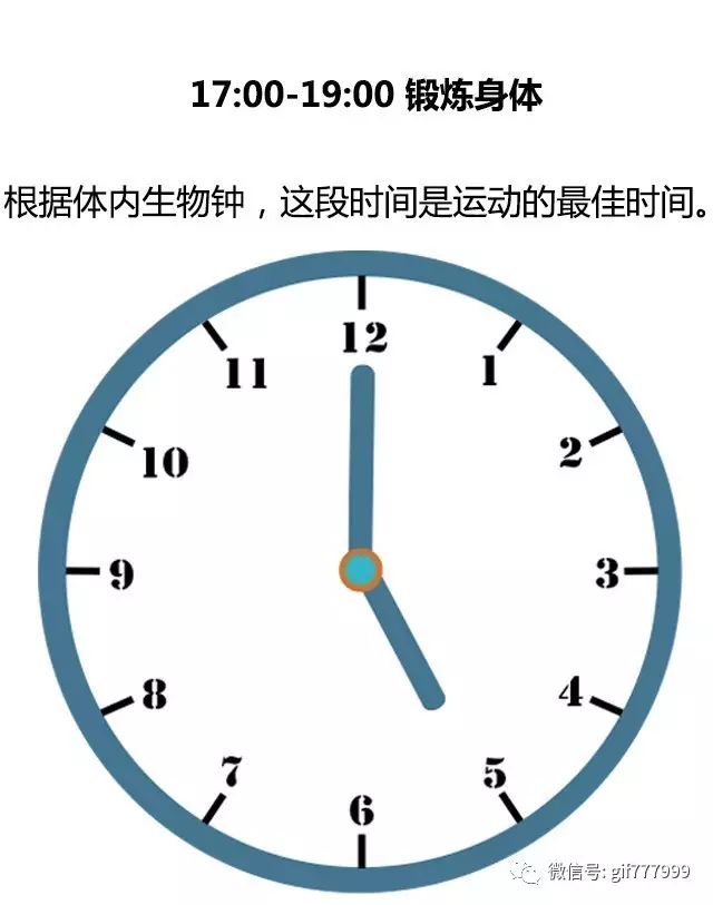 胖子的特征表现,胖子普遍有什么特征