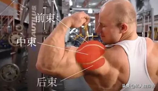 三角肌肩膀训练方法,怎么锻炼肩膀三角肌