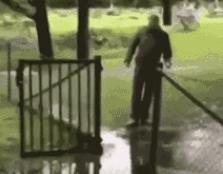 让人一看就能笑死的沙雕图片,史上最沙雕的100张图片